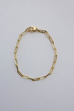 Larger Link Paper Clip Bracelet