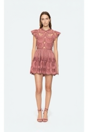 Drea Embroidered Flutter Dress