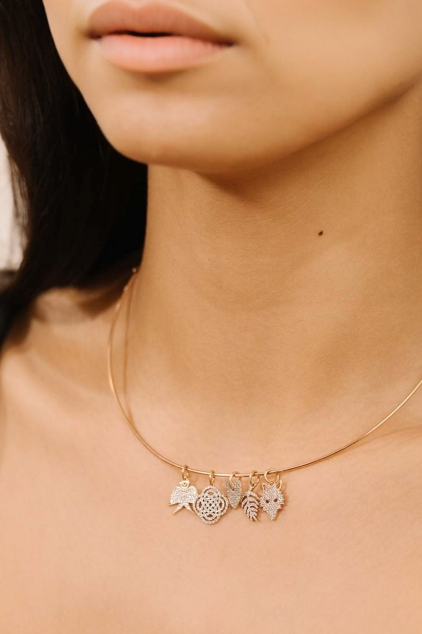 Diamond Purity Charm