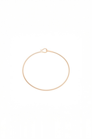 Small Bangle with Hook