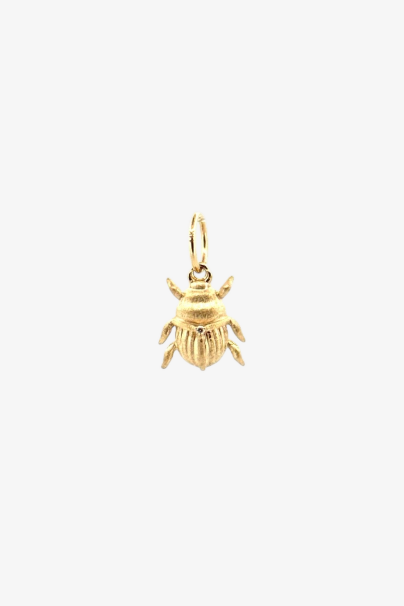 Beetle Charm