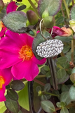 SS & Diamond Key Charm